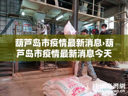 葫芦岛市疫情最新消息›葫芦岛市疫情最新消息今天