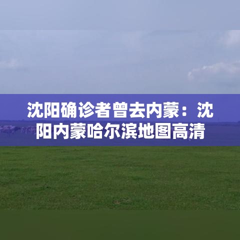 沈阳确诊者曾去内蒙：沈阳内蒙哈尔滨地图高清