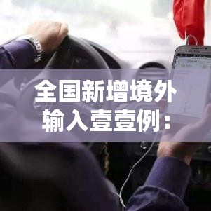 全国新增境外输入壹壹例：境外输入病例