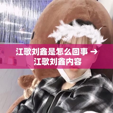 江歌刘鑫是怎么回事 → 江歌刘鑫内容