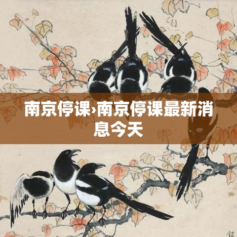 南京停课›南京停课最新消息今天
