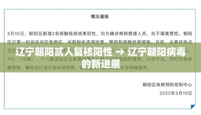 辽宁朝阳贰人复核阳性 → 辽宁朝阳病毒的新进展 辽宁朝阳贰人复核阳性 → 辽宁朝阳病毒的新进展