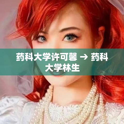 药科大学许可馨 → 药科大学林生 药科大学许可馨 → 药科大学林生