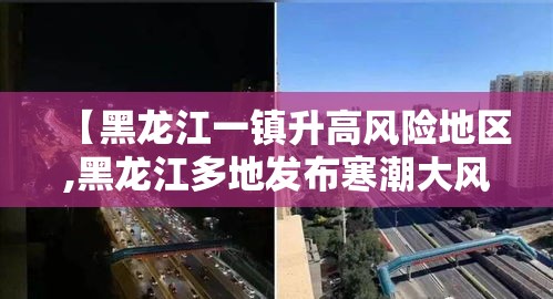 【黑龙江一镇升高风险地区,黑龙江多地发布寒潮大风预警】 【黑龙江一镇升高风险地区,黑龙江多地发布寒潮大风预警】