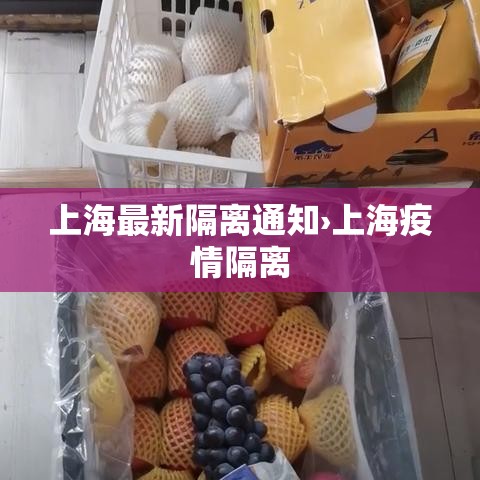 上海最新隔离通知›上海疫情隔离