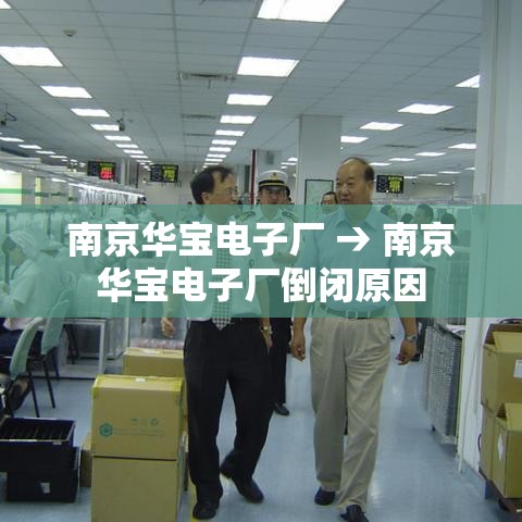 南京华宝电子厂 → 南京华宝电子厂倒闭原因