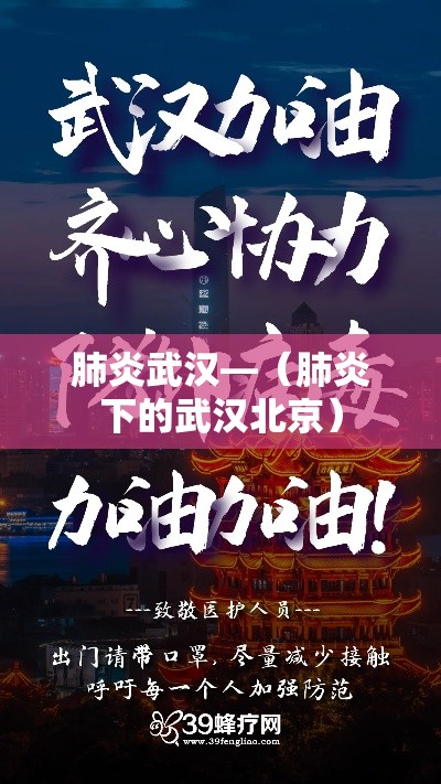 肺炎武汉—(肺炎下的武汉北京) 肺炎武汉—(肺炎下的武汉北京)