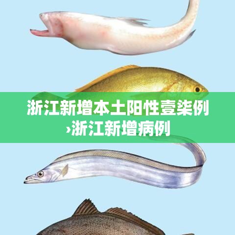 浙江新增本土阳性壹柒例›浙江新增病例 浙江新增本土阳性壹柒例›浙江新增病例