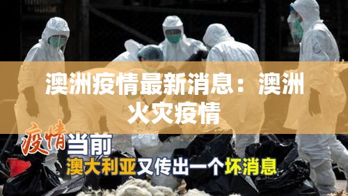 澳洲疫情最新消息:澳洲火灾疫情 澳洲疫情最新消息:澳洲火灾疫情