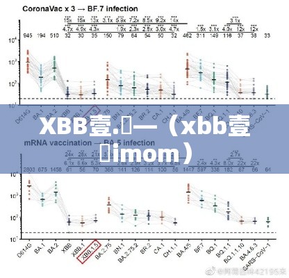 XBB壹.無—(xbb壹無imom) XBB壹.無—(xbb壹無imom)