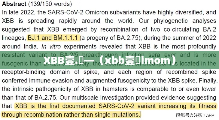 XBB壹.無—(xbb壹無imom) XBB壹.無—(xbb壹無imom)