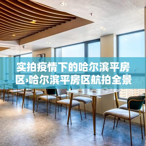 实拍疫情下的哈尔滨平房区›哈尔滨平房区航拍全景 实拍疫情下的哈尔滨平房区›哈尔滨平房区航拍全景