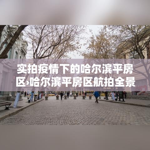 实拍疫情下的哈尔滨平房区›哈尔滨平房区航拍全景 实拍疫情下的哈尔滨平房区›哈尔滨平房区航拍全景
