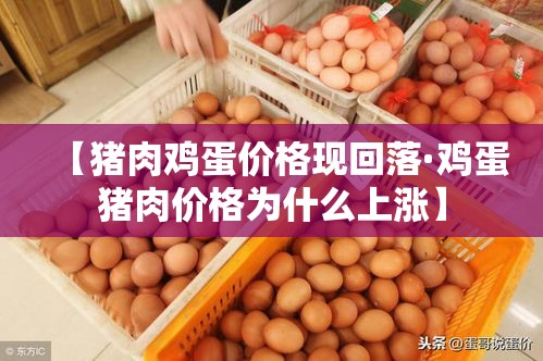 【猪肉鸡蛋价格现回落·鸡蛋猪肉价格为什么上涨】
