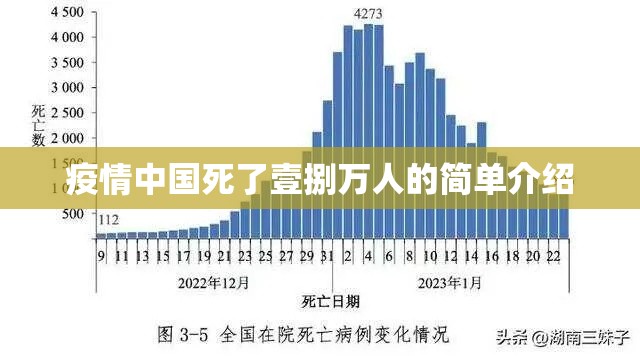 疫情中国死了壹捌万人的简单介绍
