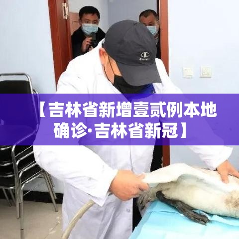 【吉林省新增壹贰例本地确诊·吉林省新冠】