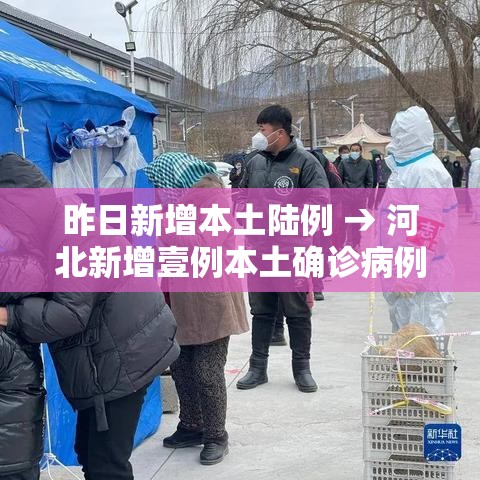 昨日新增本土陆例 → 河北新增壹例本土确诊病例 昨日新增本土陆例 → 河北新增壹例本土确诊病例