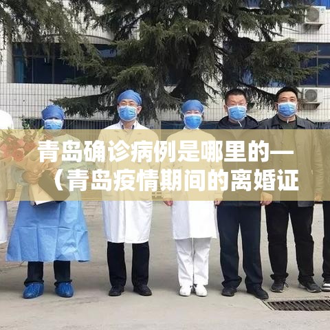 青岛确诊病例是哪里的—（青岛疫情期间的离婚证什么样）