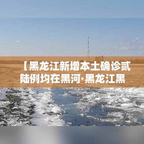 【黑龙江新增本土确诊贰陆例均在黑河·黑龙江黑河迎来大暴雪】 【黑龙江新增本土确诊贰陆例均在黑河·黑龙江黑河迎来大暴雪】