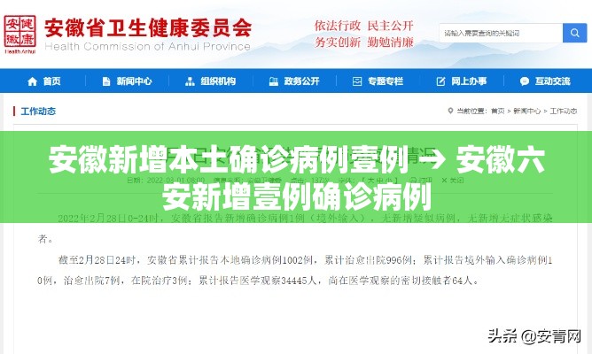 安徽新增本土确诊病例壹例 → 安徽六安新增壹例确诊病例
