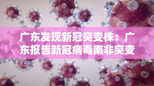 广东发现新冠突变株：广东报告新冠病毒南非突变株