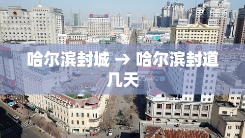 哈尔滨封城 → 哈尔滨封道几天