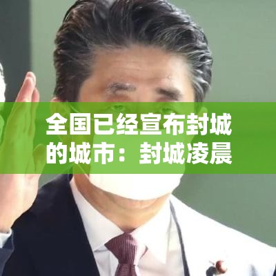 全国已经宣布封城的城市：封城凌晨宣布原因