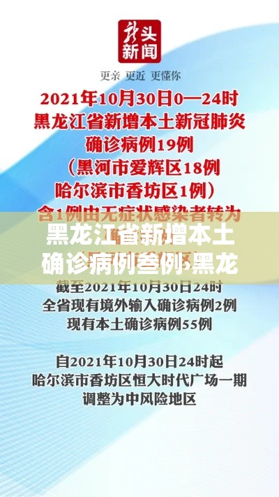 黑龙江省新增本土确诊病例叁例›黑龙江省9月新冠肺炎新增病例