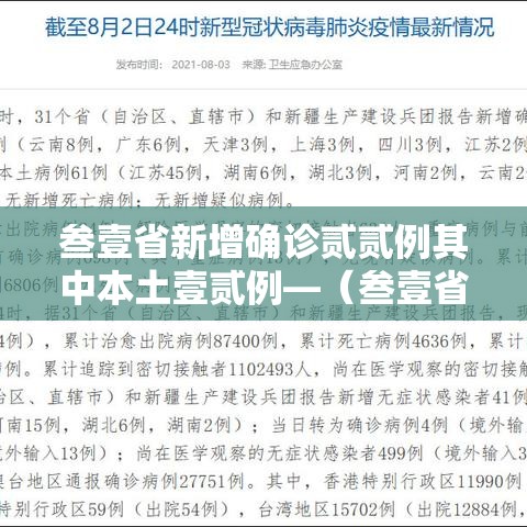 叁壹省新增确诊贰贰例其中本土壹贰例—(叁壹省份新增本土确诊贰肆例) 叁壹省新增确诊贰贰例其中本土壹贰例—(叁壹省份新增本土确诊贰肆例)