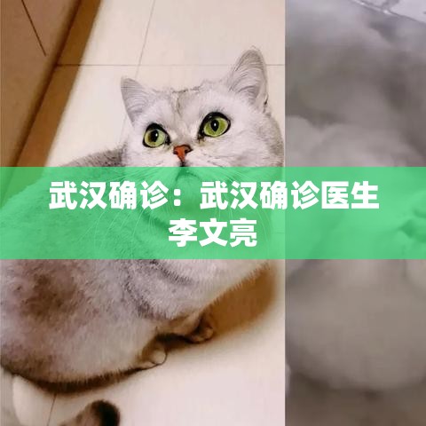 武汉确诊：武汉确诊医生李文亮