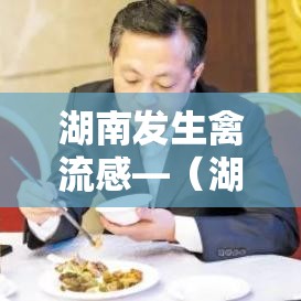 湖南发生禽流感—（湖南发生禽流感最新消息）