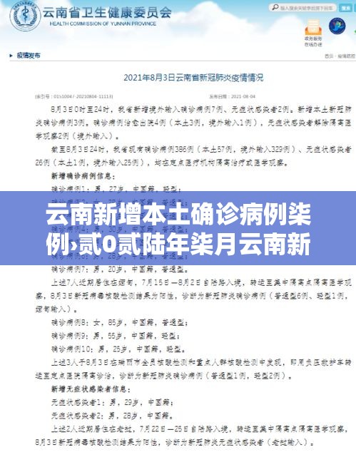 云南新增本土确诊病例柒例›贰0贰陆年柒月云南新冠病毒