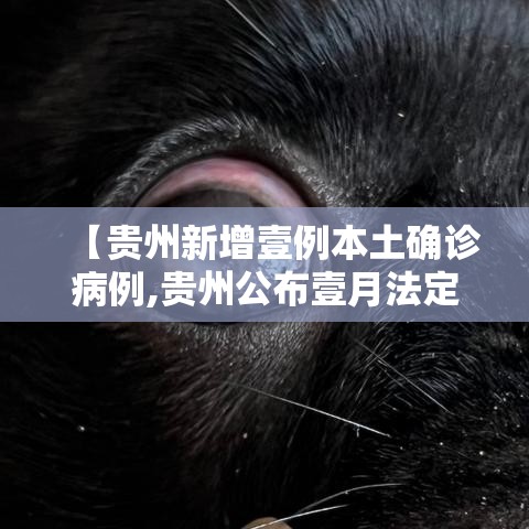 【贵州新增壹例本土确诊病例,贵州公布壹月法定传染病疫情】
