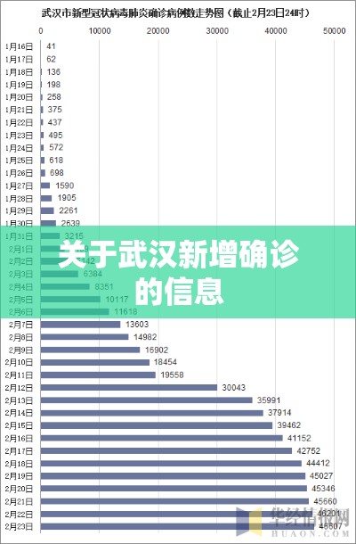 关于武汉新增确诊的信息