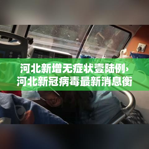 河北新增无症状壹陆例›河北新冠病毒最新消息衡水疫情