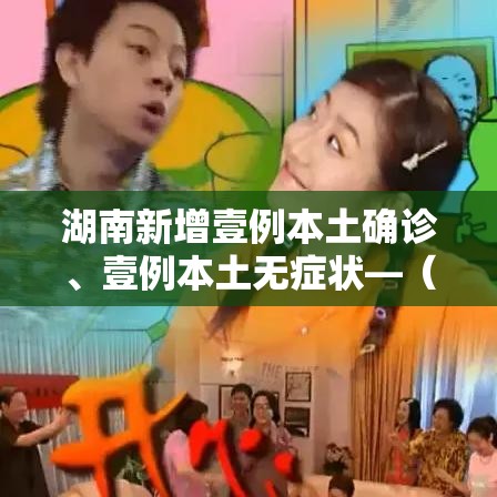 湖南新增壹例本土确诊、壹例本土无症状—（湖南新增壹例本土确诊,壹例本土无症状是什么）