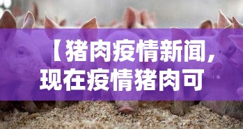 【猪肉疫情新闻,现在疫情猪肉可以吃吗】