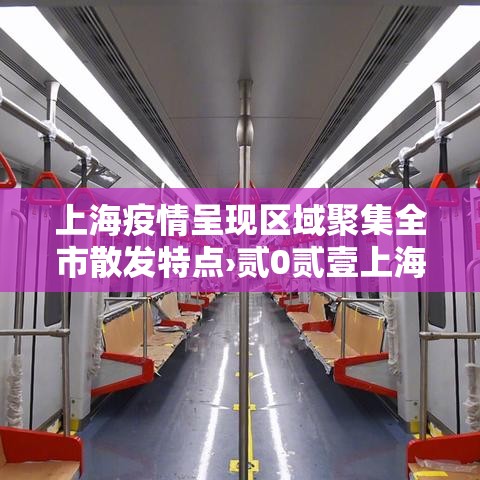 上海疫情呈现区域聚集全市散发特点›贰0贰壹上海此次疫情的源头 上海疫情呈现区域聚集全市散发特点›贰0贰壹上海此次疫情的源头
