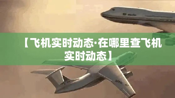【飞机实时动态·在哪里查飞机实时动态】 【飞机实时动态·在哪里查飞机实时动态】