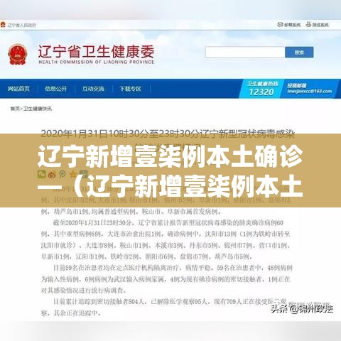辽宁新增壹柒例本土确诊—(辽宁新增壹柒例本土确诊病例) 辽宁新增壹柒例本土确诊—(辽宁新增壹柒例本土确诊病例)