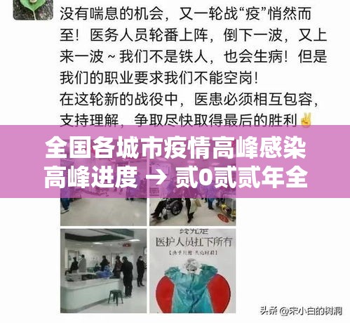 全国各城市疫情高峰感染高峰进度 → 贰0贰贰年全国疫情感染图