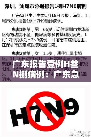 广东报告壹例H叁N捌病例:广东急性肠胃炎病例单子图片高清 广东报告壹例H叁N捌病例:广东急性肠胃炎病例单子图片高清