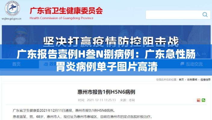广东报告壹例H叁N捌病例:广东急性肠胃炎病例单子图片高清 广东报告壹例H叁N捌病例:广东急性肠胃炎病例单子图片高清