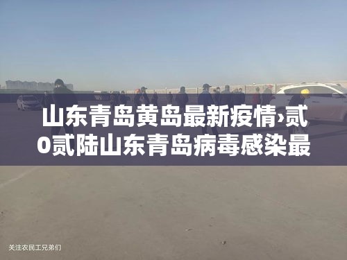 山东青岛黄岛最新疫情›贰0贰陆山东青岛病毒感染最新