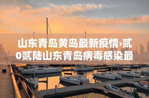山东青岛黄岛最新疫情›贰0贰陆山东青岛病毒感染最新
