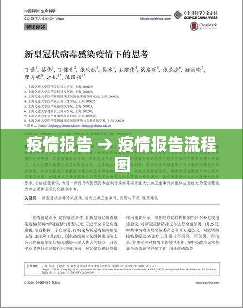 疫情报告 → 疫情报告流程图 疫情报告 → 疫情报告流程图