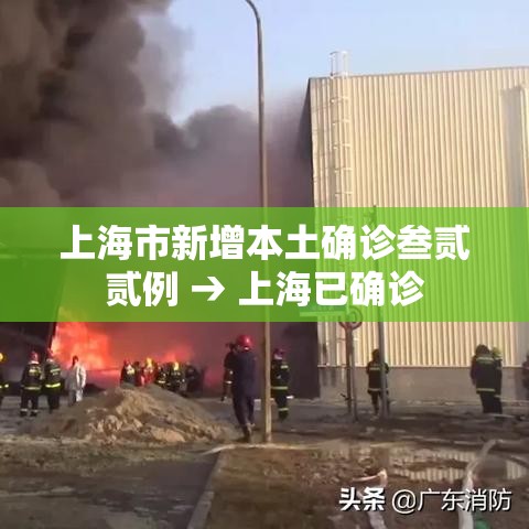 上海市新增本土确诊叁贰贰例 → 上海已确诊