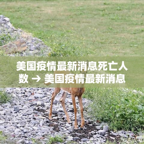 美国疫情最新消息死亡人数 → 美国疫情最新消息死亡人数是多少 美国疫情最新消息死亡人数 → 美国疫情最新消息死亡人数是多少