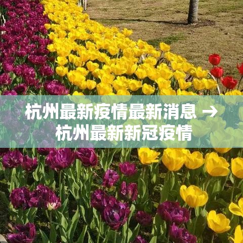 杭州最新疫情最新消息 → 杭州最新新冠疫情 杭州最新疫情最新消息 → 杭州最新新冠疫情