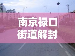 南京禄口街道解封 → 南京禄口街道派出所电话
